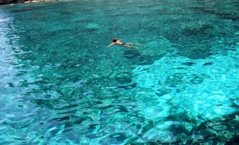 a man is swimming in a body of clear blue water near a rocky shoreline at Hotel Royal