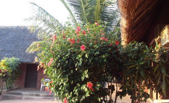 a tree with red flowers is hanging from a balcony , next to a building and a palm tree at Hotel Maya