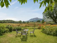 Bwythyn Y Wennol