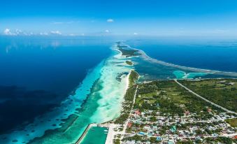 4. 레버리즈 다이빙..