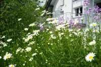 Loft "Island" Hotels in Leutkirch im Allgäu