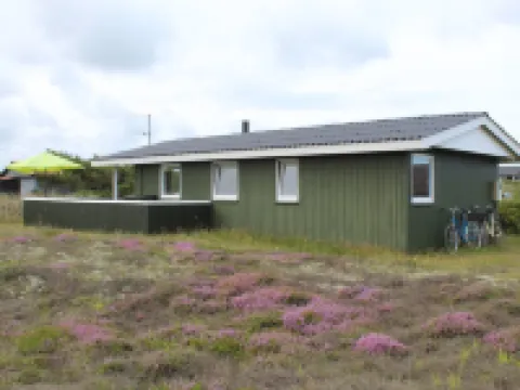 "Lambe" -  from the Sea