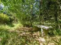 "Milda" - 1.9km from the Sea