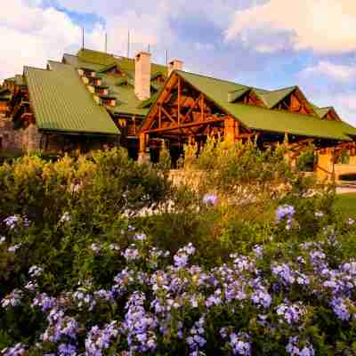 Disney's Wilderness Lodge Hotel Exterior