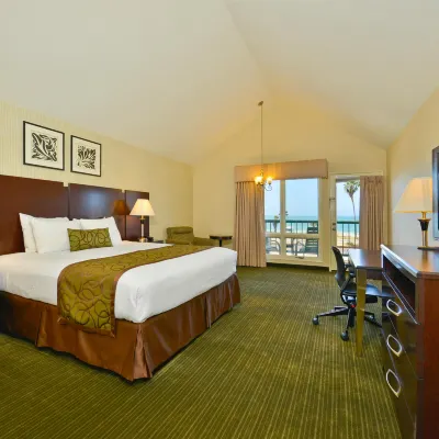 Best Western Plus Dana Point Inn-by-The-Sea Hôtels à proximité de : Doheny State Beach