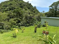 Selvática del Toro Hotels in Zarcero