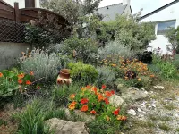 Villa Acces Direct A la Mer .Liliy the Sea Hotels in 