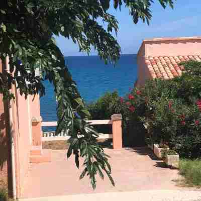 Jolie T2 bord de mer (corse du sud) Hotel Exterior