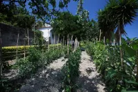 Hotel Matarese