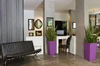 Épico Recoleta Hotel Hotels in Buenos Aires