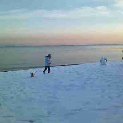 ワスキベース びわ湖 GUEST HOUSE（滋賀県高島市・琵琶湖）愛犬と泊まれるホテル Fitness & Recreational Facilities