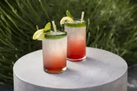 Dr Wilkinsons Backyard Resort and Mineral Springs a Member of Design Hotels - bar