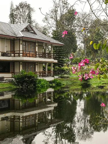 รูปภาพของสวนผึ้งบอนไซวิลเลจ
