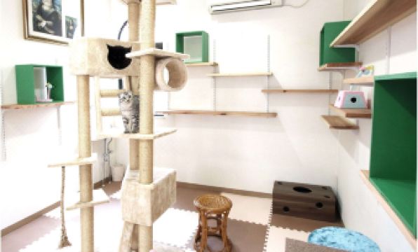 Kinugawa Kokusai Hotel