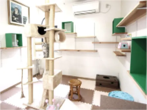 Kinugawa Kokusai Hotel