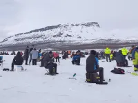 Willa Kiiruna Hotels in Fell Lapland