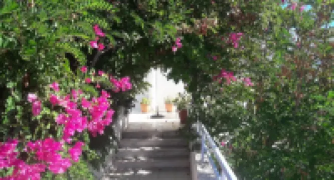 Seafront Studios and Apartments