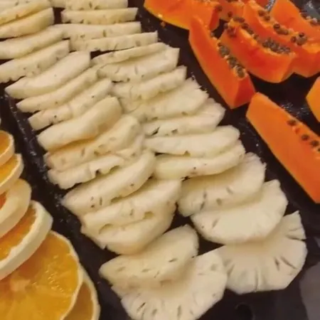 Mogano Premium Hotel - Eletroposto