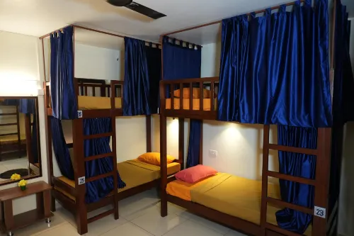 Bay Stay - the Backpacker Hostel - Hostels