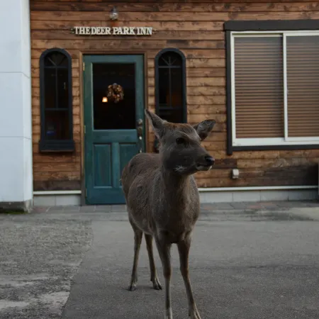 The Deer Park Inn