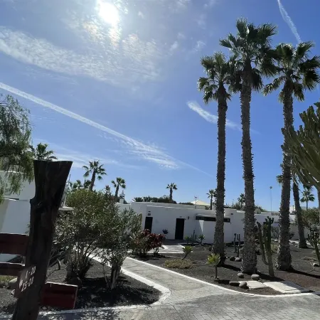 Palmeras Garden