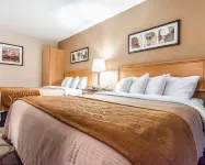 Comfort Inn Riviere-Du-Loup Các khách sạn gần St. Lawrence Exploration Centre