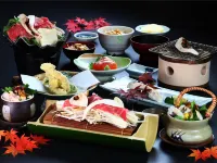 Chausuyama Onsen Mori No Yado Yuuseikan Hotel a Urugi