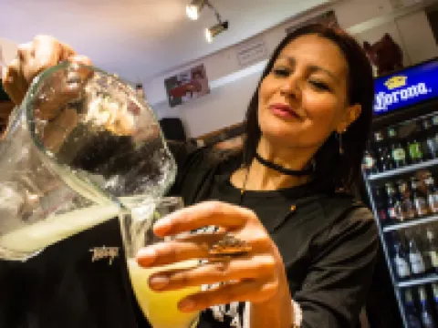 Hostal Providencia Hotels in Providencia