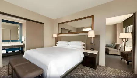 DoubleTree Suites by Hilton Minneapolis