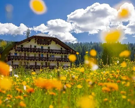 Hotel Kreuzberg Monte Croce Hotels in Sesto