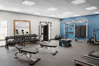 Hampton Inn & Suites Charlotte Steele Creek - palestra