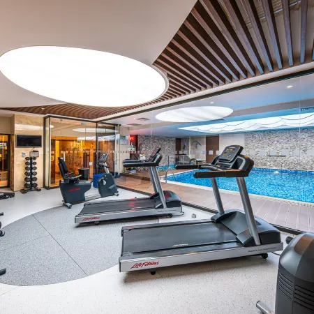 Holiday Inn ANKARA - CUKURAMBAR by IHG
