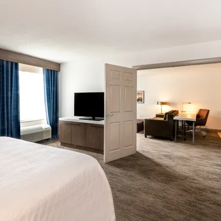 Hilton Garden Inn Baltimore Washington Airport