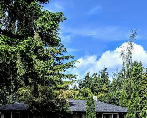 Quiet  Mid- Century Charmer Near Seattle Airport Hotels in Burien