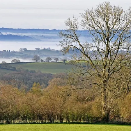 Beautiful and Quiet Rural hideaway for two near Ludlow with stunning views