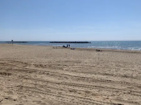 30 metres from the beach