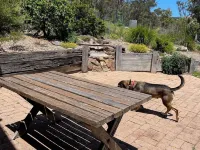 Escape into Nature Just Minutes from Tathra.