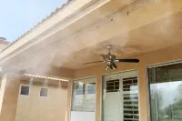 Paradise Oasis Desert Princess