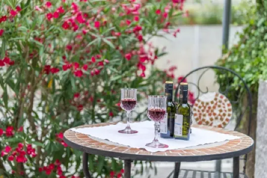 Neues Apparment, Sep.eingang, Terrasse