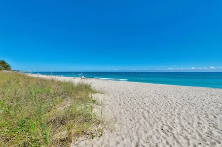 Island Newly Renovated 1 BR- King Bed Отели в г. Палм-Бич