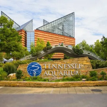 Coal City Bluff Cabin