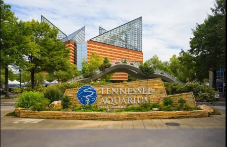 Coal City Bluff Cabin