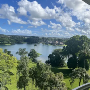 Best View in Hilo - Pool, WIFI, 2 BD Condo