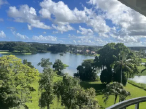 Best View in Hilo - Pool, WIFI, 2 BD Condo