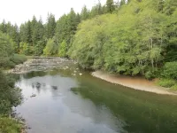 Welcome to Cabin on the Middlerun  -  All Cedar Cabin On The Sol Duc River - Chalets