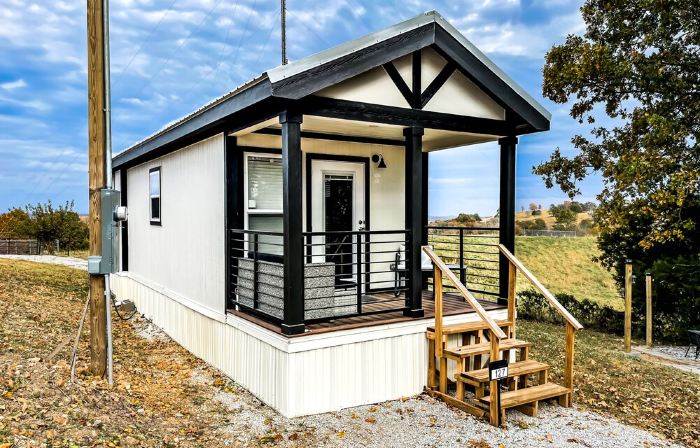 The Holiday Armadillo • AR Tiny House