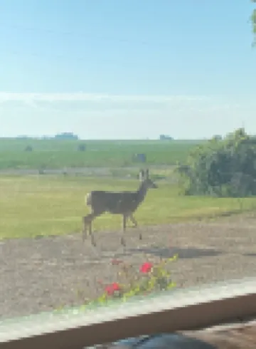 Quiet,, tranquil, nature, side by sideing , fishing,