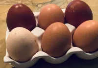 Luxury Mountain Home Retreat • Dog Spa + Hot Tub Near Wolf Laurel Hotel a 7 Ebbs Chapel