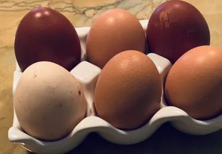 Luxury Mountain Home Retreat • Dog Spa + Hot Tub Near Wolf Laurel