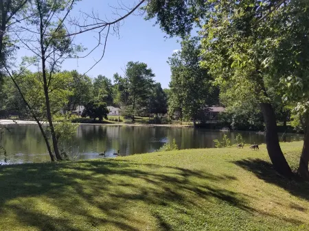 Experience Belleville in a 2 Br Cozy Home with a Stl Cardinals Theme. Отели в г. Сент-Клэр